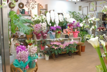 大阪府大阪市此花区の花屋 花ごよみにフラワーギフトはお任せください 当店は 安心と信頼の花キューピット加盟店です 花キューピットタウン